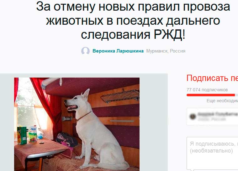 Правила провоза кошки в поезде по россии. как правильно перевозить кошку в поезде? - petstory