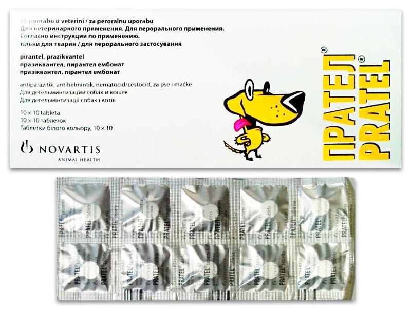 Препарат Прател для лечения глистных инвазий у кошек