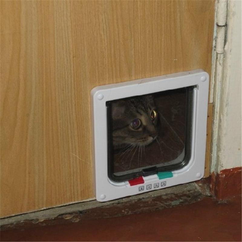 Что делать, если кот сидит у входной двери?
