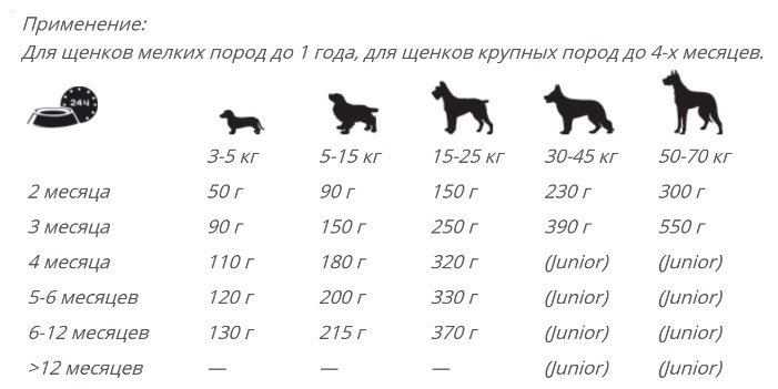 До какого возраста растут собаки - мелких, средних и крупных пород