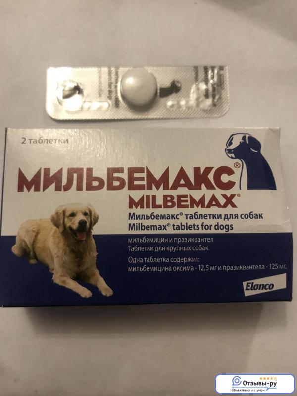 Мильбемакс для кошек: инструкция по применению таблеток от глистов