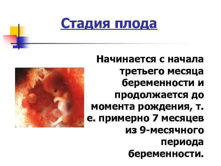 Срок беременности при эко: как считать - статья репродуктивного центра «за рождение»
