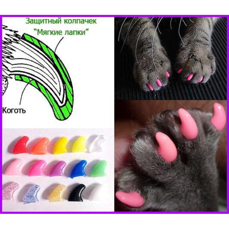 Накладки на когти для кошек: преимущества и процесс наклеивания