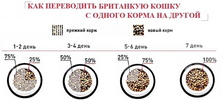 Перевод с сухого корма на натуральный схема