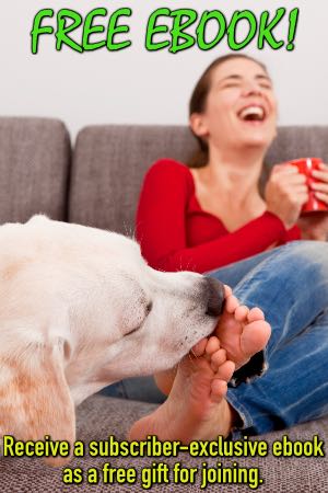 Как отучить пса от похотливого поведения