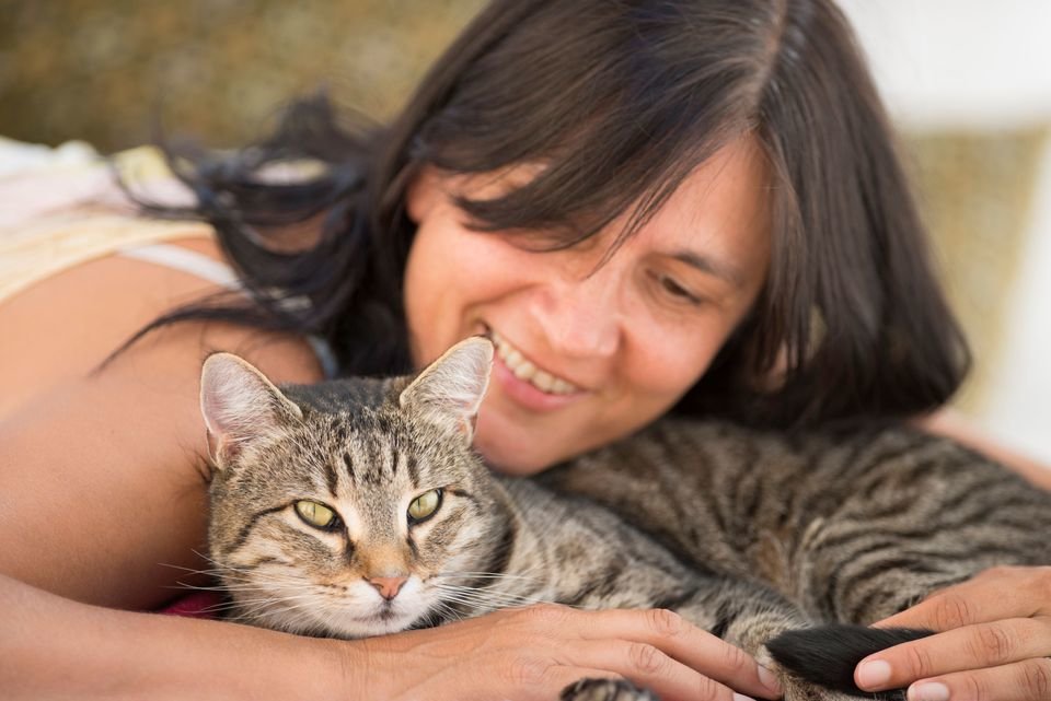 10 признаков, что твой кот счастлив