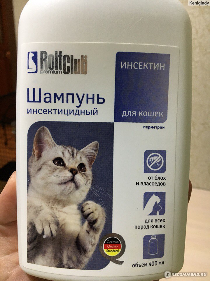 Лучшие шампуни для кошек и котов по отзывам покупателей