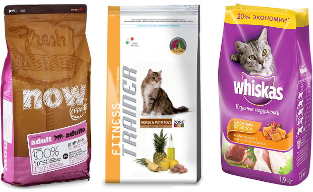 Корм для котят (31 фото): как выбрать хороший корм для маленьких котят? рейтинг лучших производителей. отзывы ветеринаров