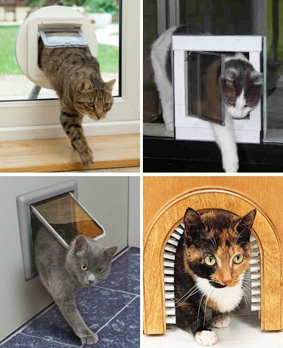 Советы при выборе дверцы для кота в дверь, обзор популярных моделей