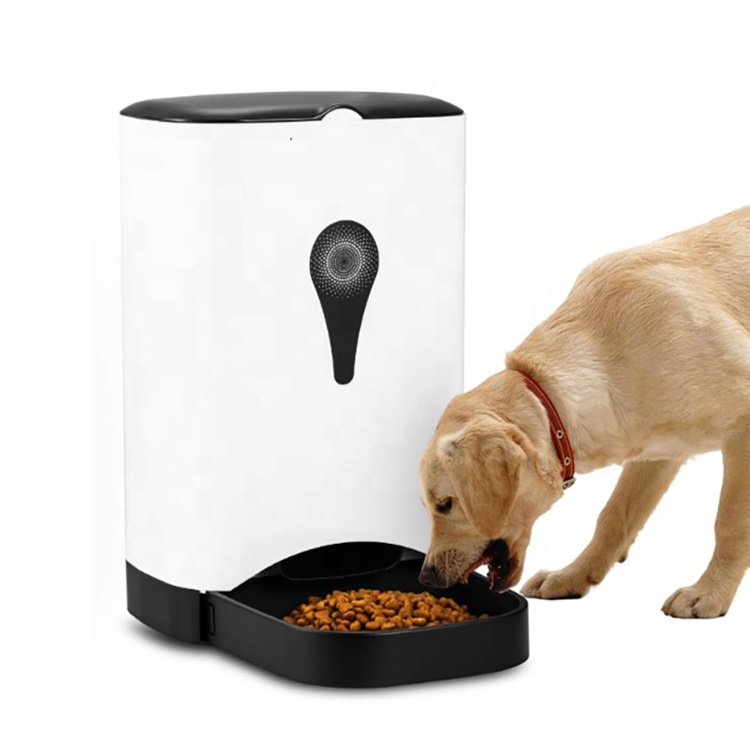 Автоматическая кормушка для собак: как выбрать электронную автокормушку с таймером для крупных и мелких пород собак?