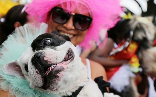 Бразильский карнавал в рио-де-жанейро 2021: даты, календарь, билеты онлайн