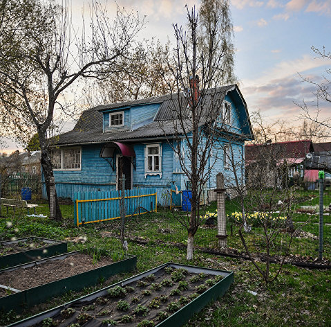 10 способов помочь кошке освоиться в новом доме