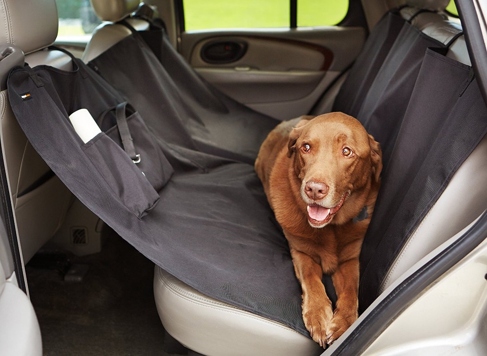 Перевозка собак в машине: правила и рекомендации