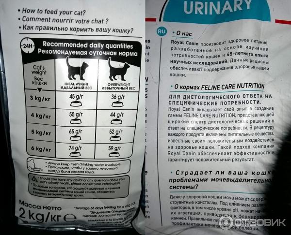 Лечебный корм для кошек роял канин уринари – как правильно применять?