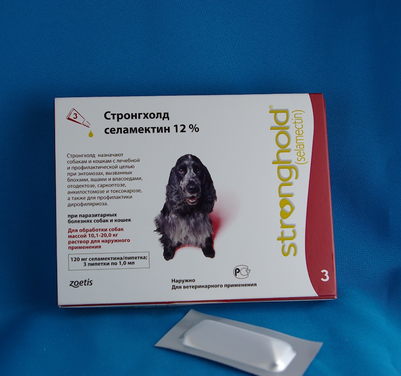Стронгхолд капли для собак: цена, инструкция и состав, отзывы