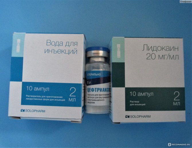 Цефалексин (cephalexin)