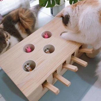 Правильные игрушки для кошек своими руками в домашних условиях