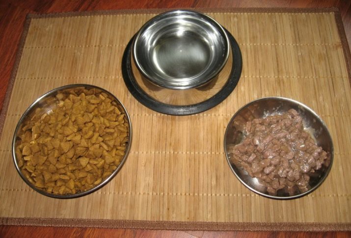 Как размачивать сухой корм для щенков? до какого возраста это нужно делать? как правильно запаривать сухой корм для собак?