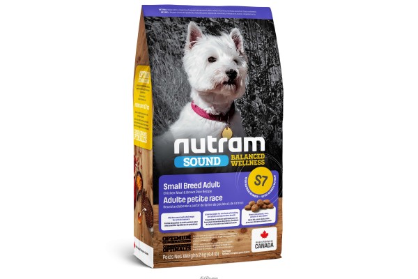 Nutram (нутрам): обзор корма для кошек, состав, отзывы