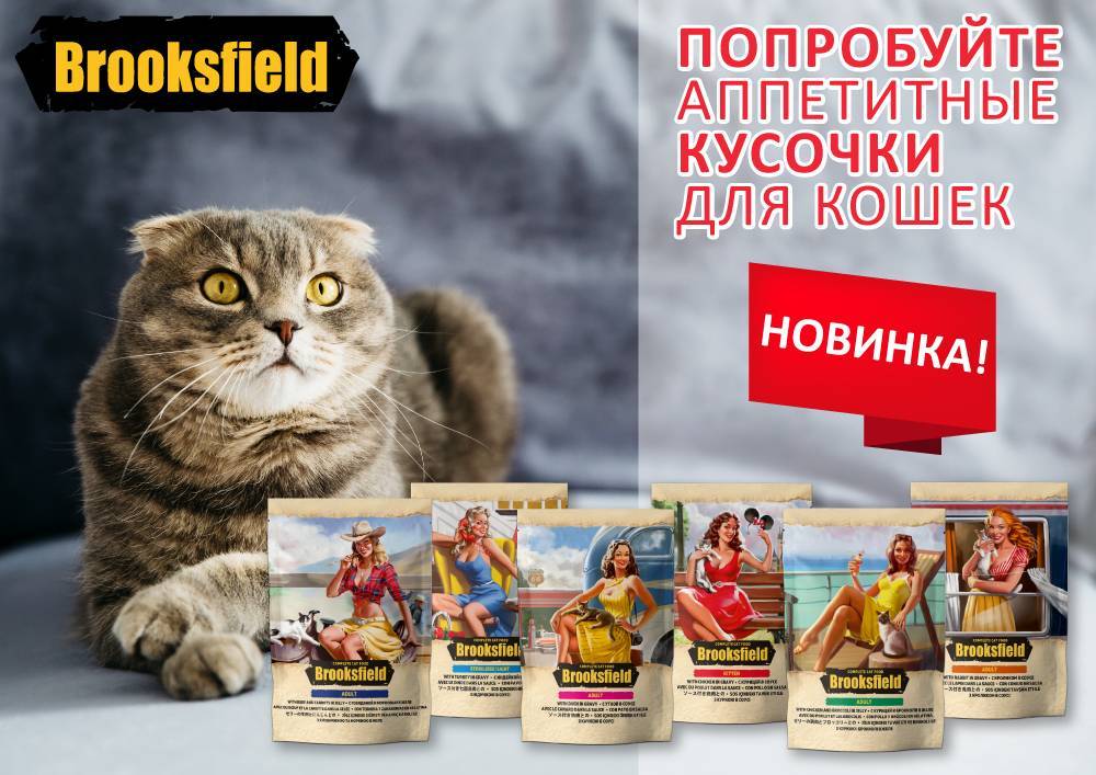 Корм для кошек brooksfield: отзывы, разбор состава, цена - kotiko.ru