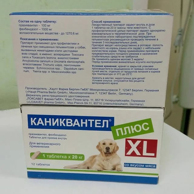 Средство травматин для собак и кошек его основные свойства, инструкция по применению