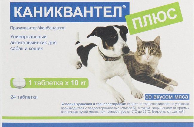 Каниквантел плюс / caniquantel plus (таблетки) для кошек, собак, щенков, котят | отзывы о применении препаратов для животных от ветеринаров и заводчиков