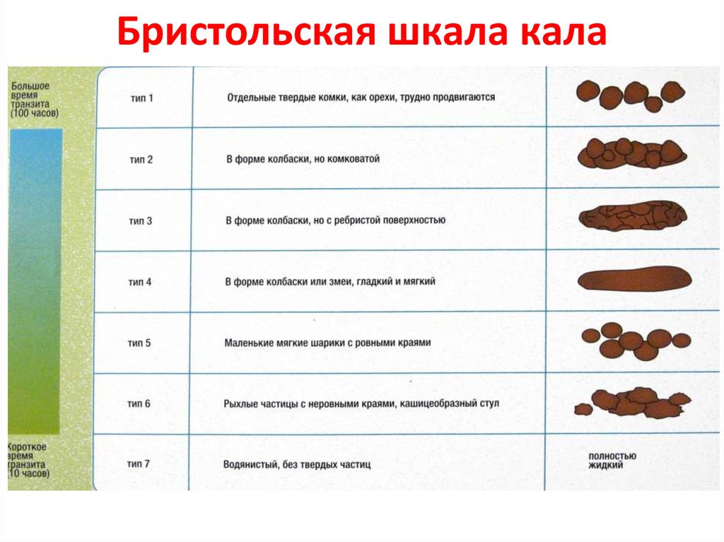 Цвет кала у взрослого человека норма по возрасту фото