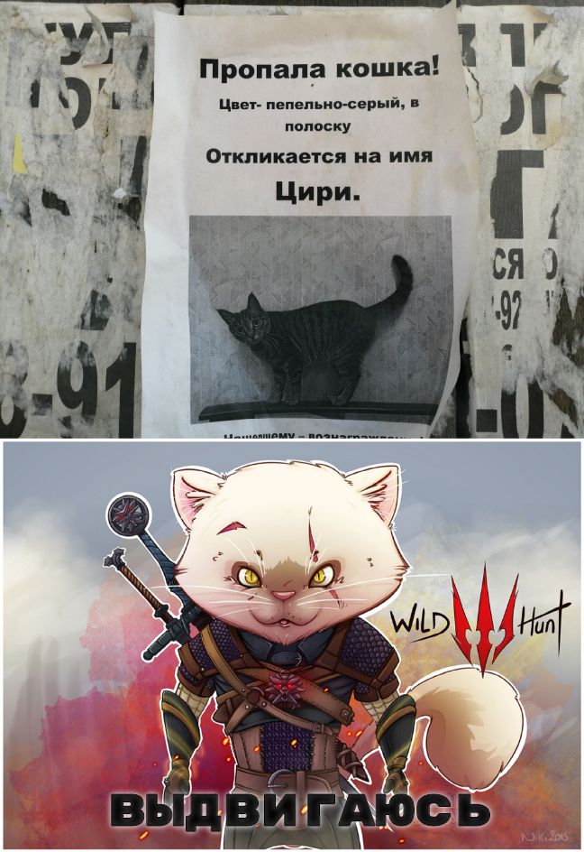 Как приучить котенка к имени: 5 этапов обучения питомца