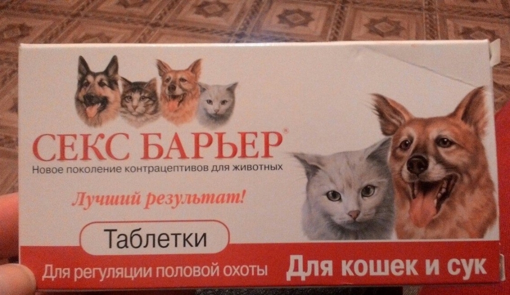 Противозачаточные таблетки для кошек: контрацептивы
