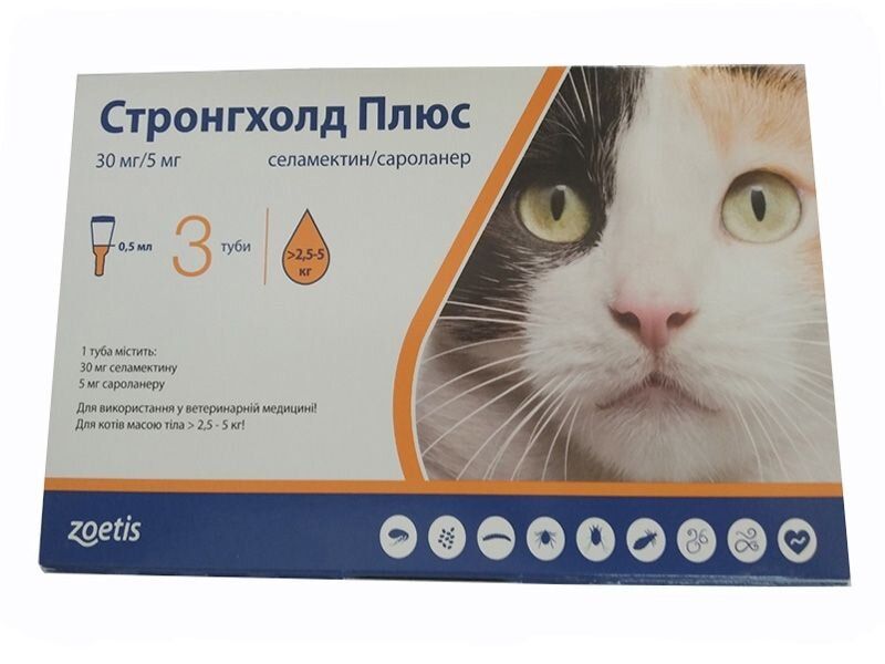 Как обработать котенка от паразитов – применение препаратов и народных средств