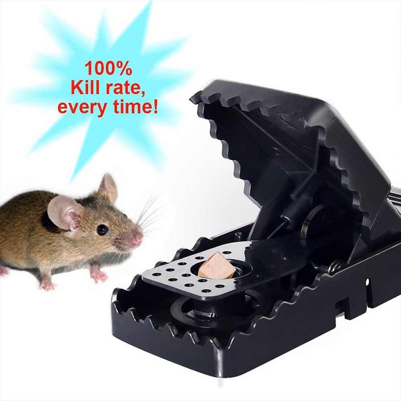 Как поймать крысу дома и в квартире: самодельные способ, ловушки