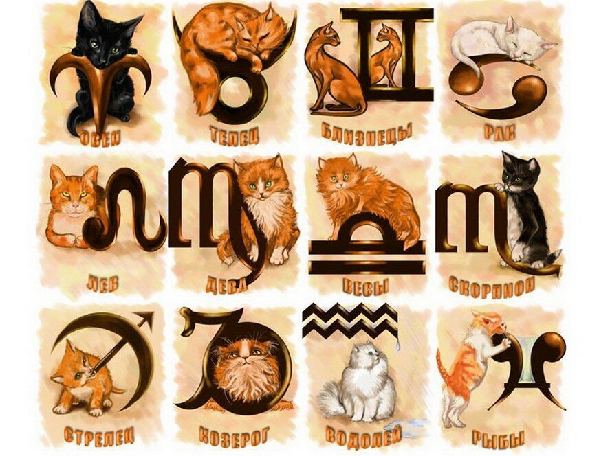 Астрологические тотемы животные по знакам зодиака