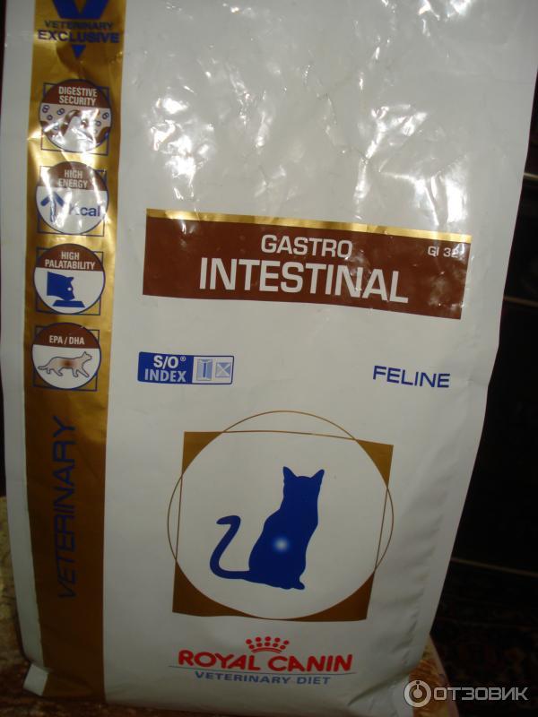Корм royal canin gastro intestinal - описание, состав, виды и отзывы