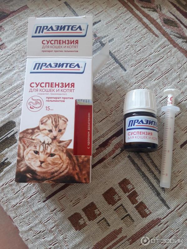 Празител для кошек: таблетки и суспензия.инструкция по применению.
