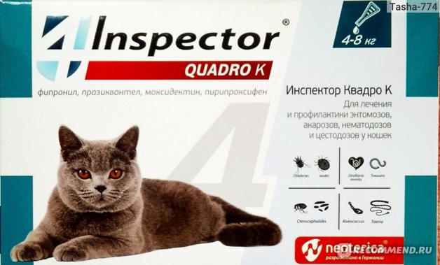 Капли на холку от глистов для кошек – эффективность, техника нанесения, обзор препаратов