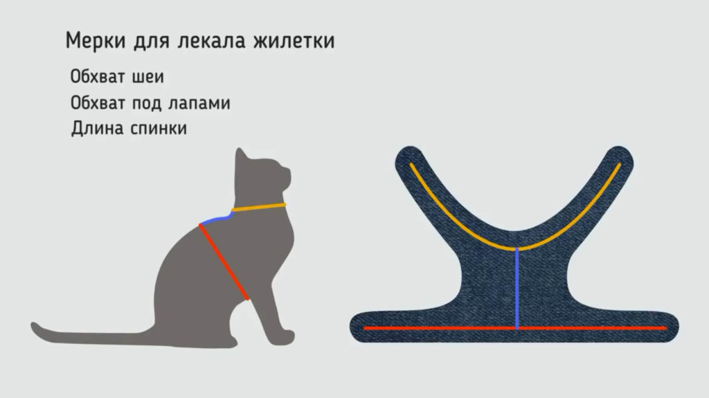 Как сшить одежду для кота своими руками | самошвейка - сайт о шитье и рукоделии