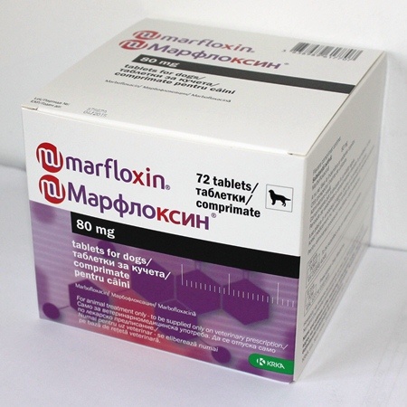 Антибиотик марфлоксин 2% 10% для кошек и собак