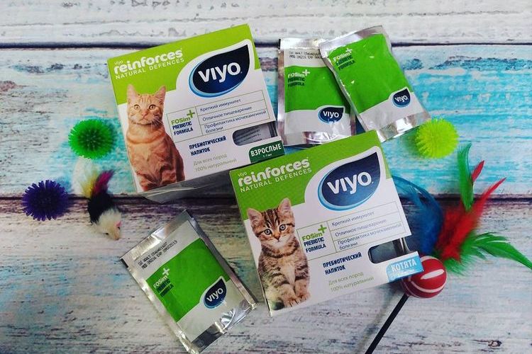 Вийо для кошек – когда нужен и как давать пребиотик питомцам?