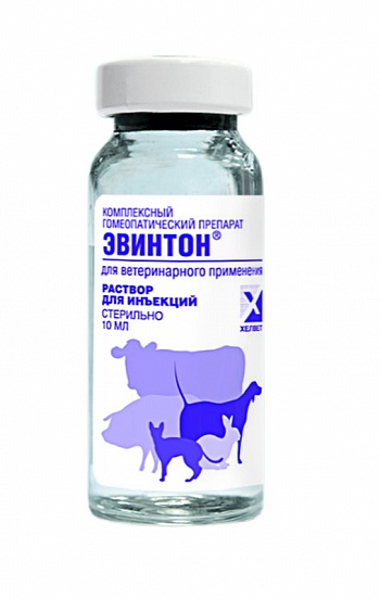 Препарат эвинтон: эффективное средство для поддержания иммунитета кошки