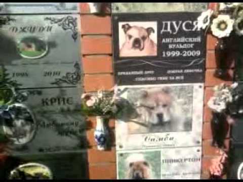 Крематорий для животных ритуал-зоосервис