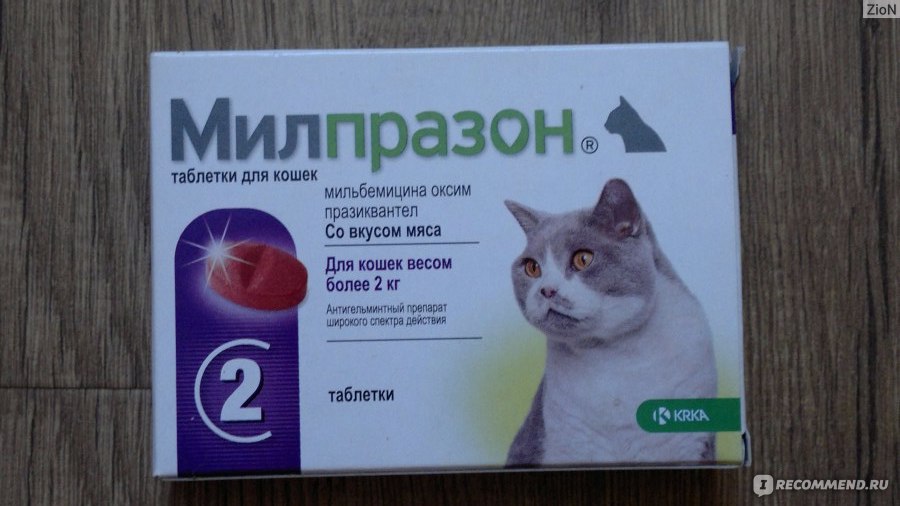 Лигфол для кошек: инструкция по применению в ветеринарии