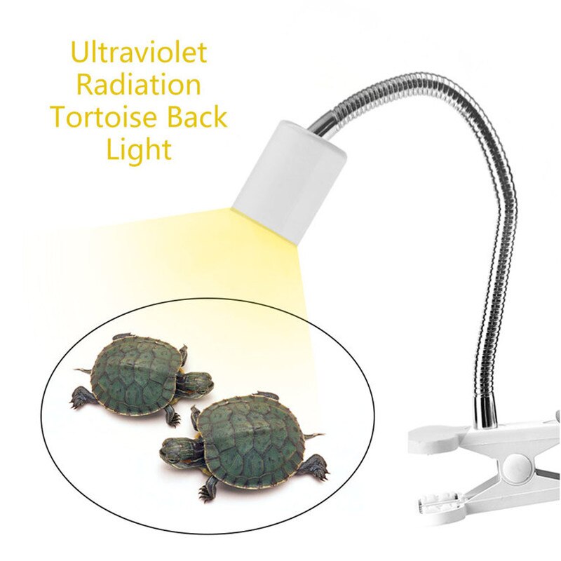 Уф лампа для черепах и ящериц. как сделать правильный выбор?