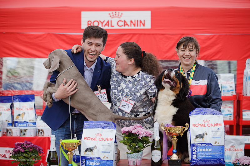 Zooпортал.pro :: international dog show cacib-fci 09.07.2021 "basarabia-2021", orhei, moldova