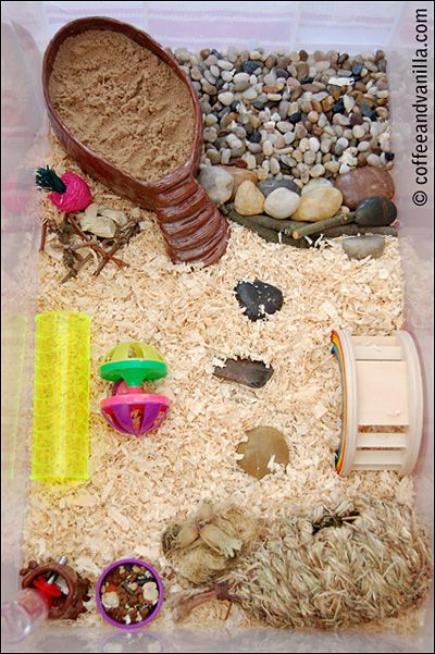 Игрушки для хомяков своими руками: гамак, тоннели, лесенка, качели, лабиринт