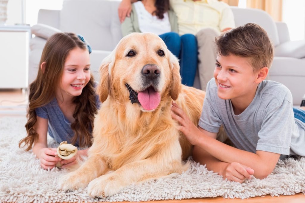 Четырехлапый друг: 34 породы собак для детей