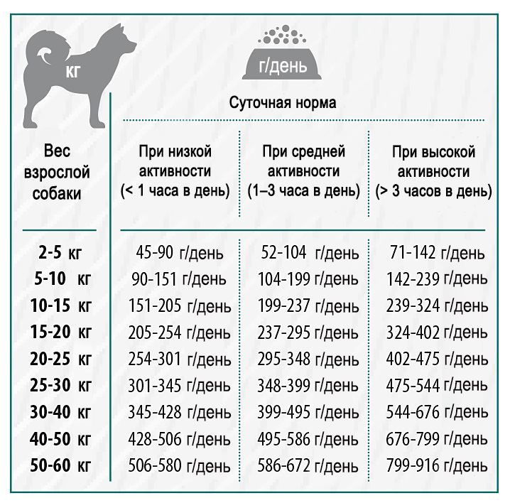 Чем кормить щенка шарпея: режим и нормы кормления в 1, 2, 3, 4 месяца