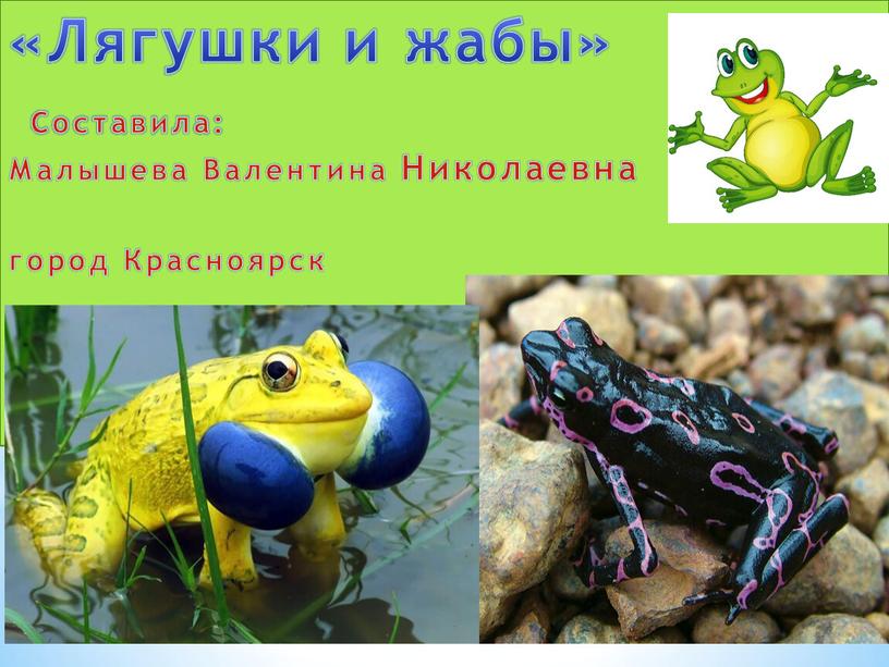 Лягушка и жаба, сходства и различия, фото и подробное описание