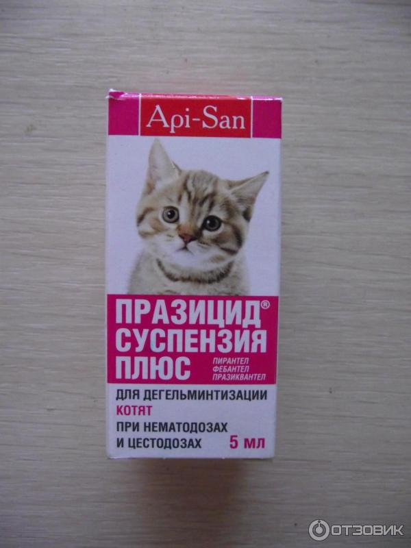 Какие таблетки можно давать котам. Капли от глистов для котят 2 месяца. Капли от глистов для котят 3 месяца. Суспензия от глистов для котят 2 месяца. Препараты от глистов для котят 3 месяца.