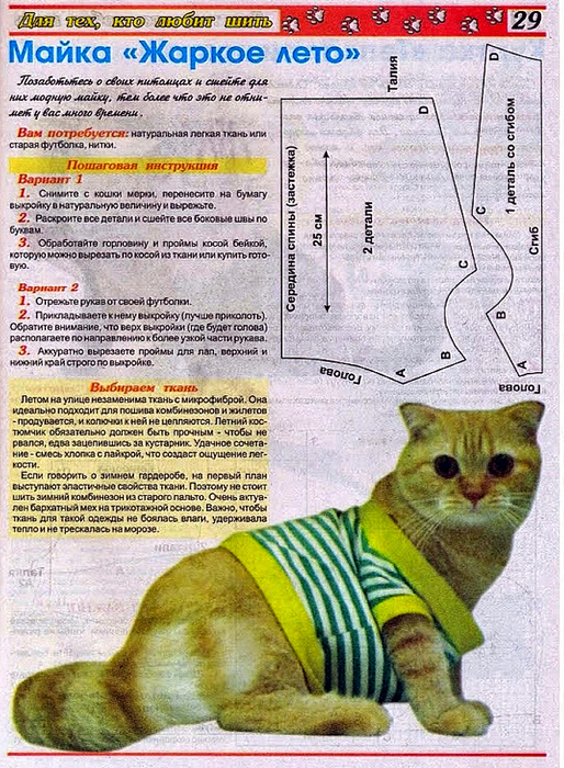 Одежда для кошек своими руками, модели с описанием и выкройками