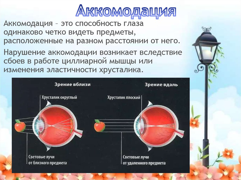 Как создается четкое изображение на сетчатке когда переводят взгляд удаленного предмета на близкий